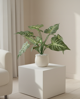 Artificial Striped Arrow Leaf Plant 45cm (1.5ft)